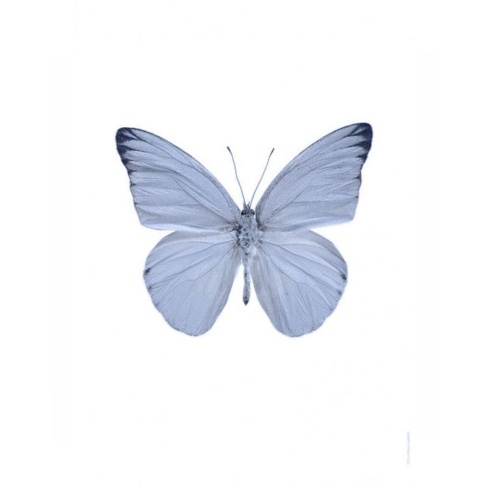 Meet your Posher, Eva